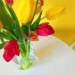 Castle View-bus Station, Parking, Center * Český Krumlov