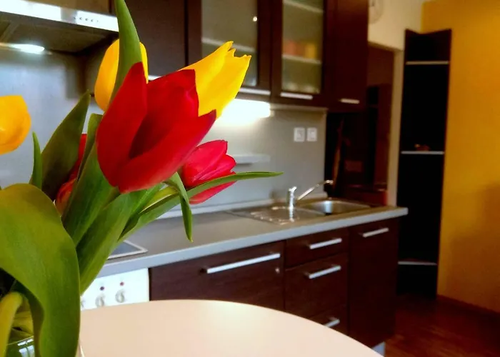 Castle View-bus Station, Parking, Center Διαμέρισμα