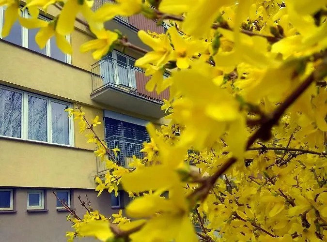 Castle View-bus Station, Parking, Center Διαμέρισμα *