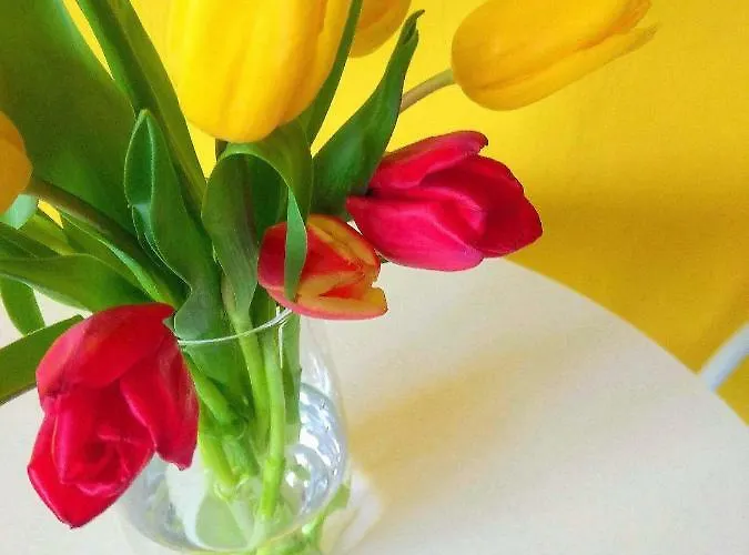 Castle View-bus Station, Parking, Center * Český Krumlov